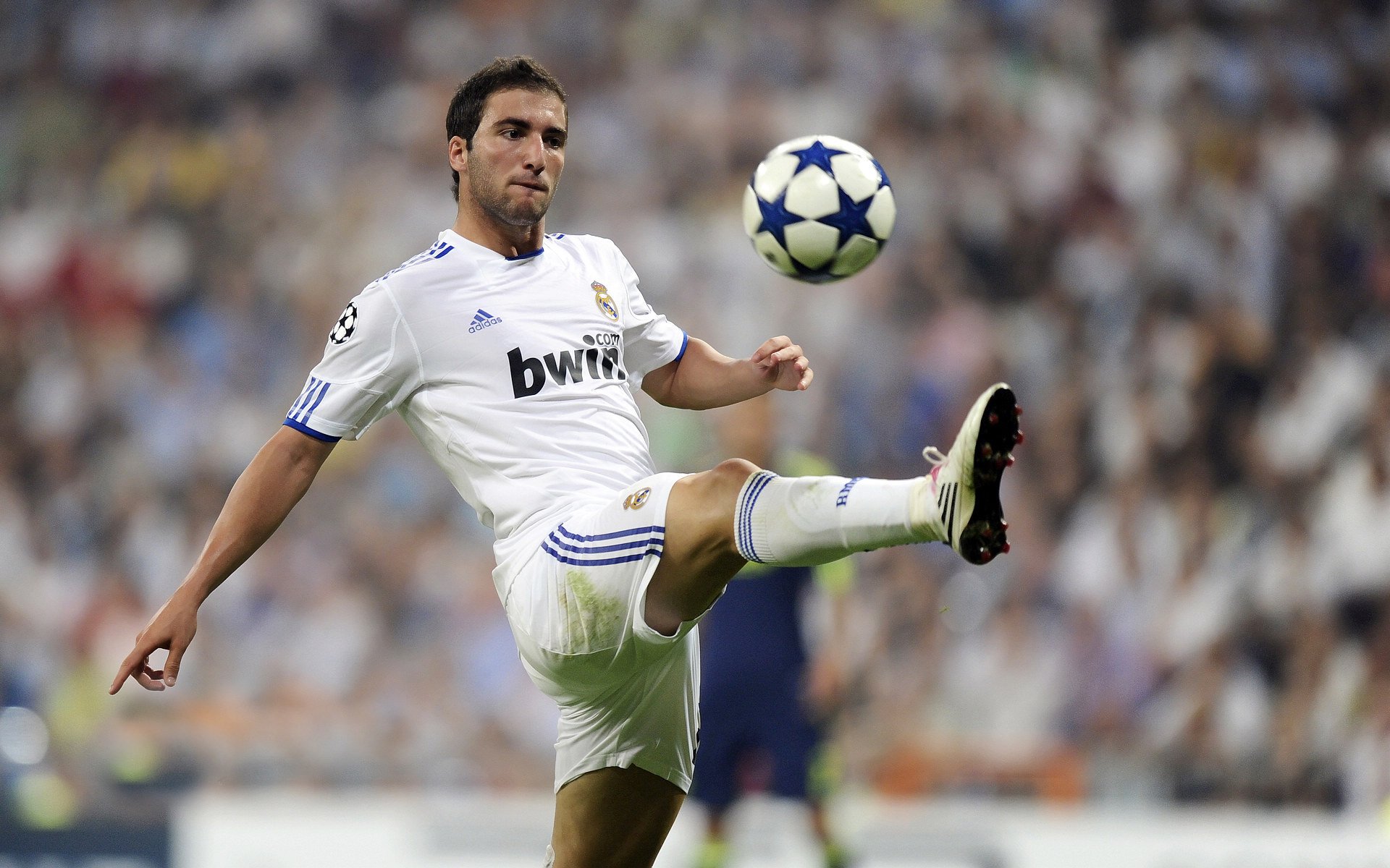 德甲在青训发展上走在欧洲前列,世界级天才不断涌现,德甲intro